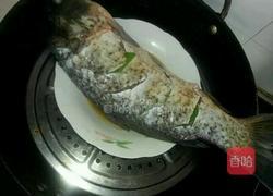 清蒸鲤鱼的做法图解4