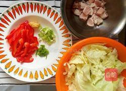 卷心菜炒五花肉的做法图解1