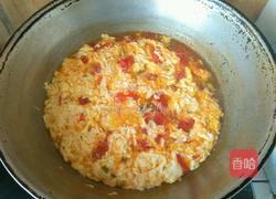 西红柿海参汤的做法图解5