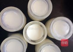 电饭煲做酸奶的做法图解8
