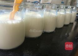 电饭煲做酸奶的做法图解3