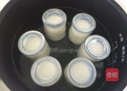 电饭煲做酸奶的做法图解6