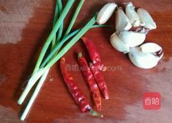 盐渍苦瓜的做法图解2