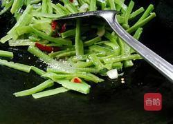 盐渍苦瓜的做法图解10