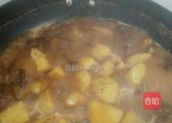 鸡块炖土豆的做法图解11