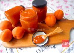 杏子果酱的做法图解5