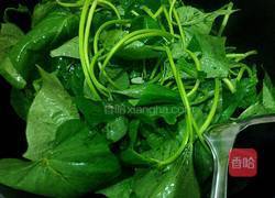 蒜香红薯叶的做法图解5