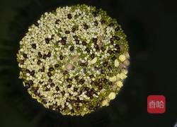 绿豆薏米汤的做法图解1