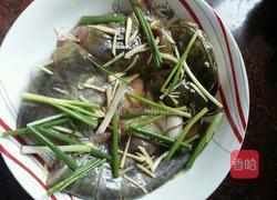 清蒸鲶鱼的做法图解2