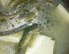 泥鳅豆腐汤[图]
