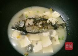 鲫鱼豆腐汤的做法图解4