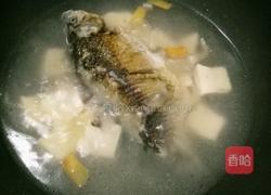 鲫鱼豆腐汤的做法图解3