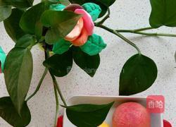 水蜜桃味脉动的做法图解1