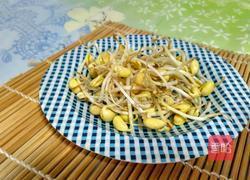 自发黄豆芽的做法图解4