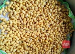 自发黄豆芽的做法图解2