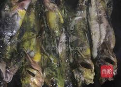 红烧鲶鱼的做法图解3