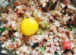 简单的家常烧麦~的做法图解6