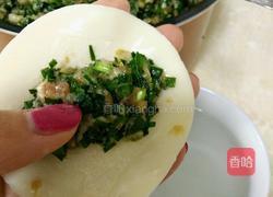 韭菜猪肉饺的做法图解6