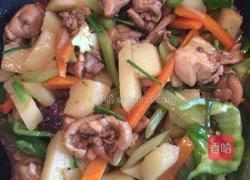 土豆炖鸡块的做法图解9