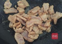 芒果炒肉的做法图解5