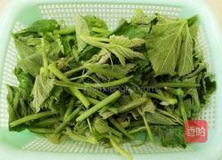 清炒南瓜藤的做法图解2