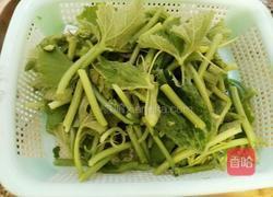 清炒南瓜藤的做法图解3