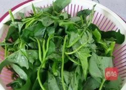蒜茸红薯叶的做法图解2