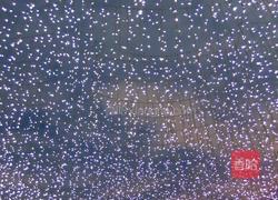 居家凉面的做法图解3