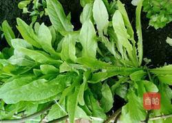 豆渣蔬菜饼的做法图解2