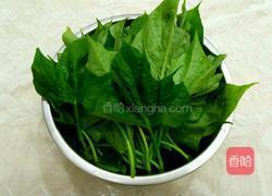 白灼红薯叶的做法图解2