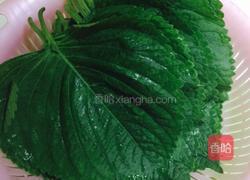苏子叶咸菜的做法图解1