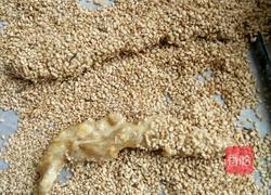 芝麻香脆鸡排的做法图解7