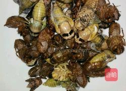 煎知了猴的做法图解1