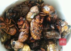 煎知了猴的做法图解3