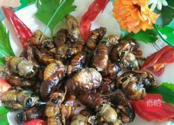 煎知了猴的做法图解7