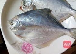 清蒸小白鲳鱼的做法图解2