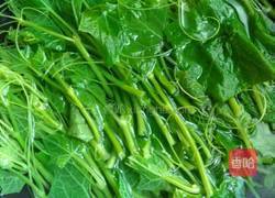 凉拌龙须菜的做法图解3