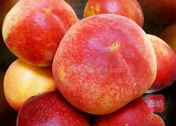 蜜桃果酱的做法图解1