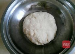 猫耳朵混沌的做法图解3