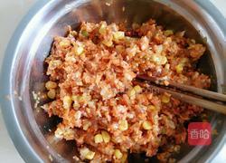 猫耳朵混沌的做法图解9