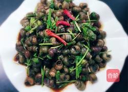 酱香田螺的做法图解4