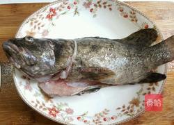 蒸龍趸鱼的做法图解1