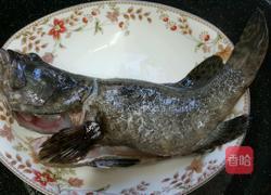 蒸龍趸鱼的做法图解4