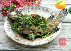 蒸龍趸鱼的做法图解6