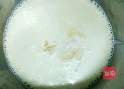 椰奶冻(小方)的做法图解4