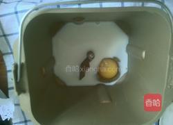 福气小面包的做法图解2