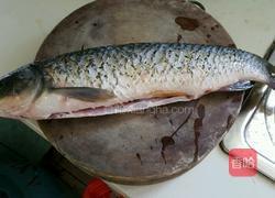 清炖草鱼的做法图解1