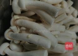 蘑姑炒鸡的做法图解3