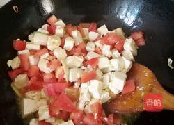 番茄菌菇炖豆腐的做法图解7