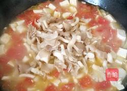 番茄菌菇炖豆腐的做法图解9